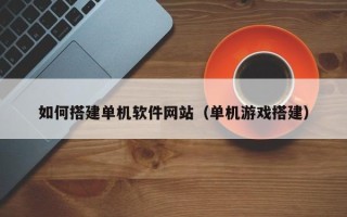 大庆如何搭建单机软件网站（单机游戏搭建）