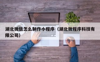 大庆湖北微信怎么制作小程序（湖北微程序科技有限公司）